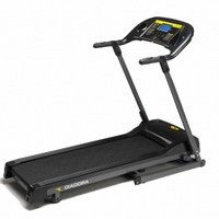 ������� ������� DIADORA DT14