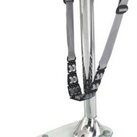 ������������� Larsen Shape