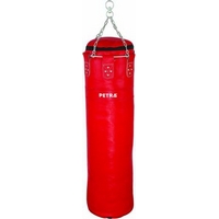 ����� ���������� � ��������� �������� PS1055/20+PS1065E, 20��