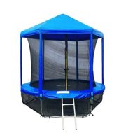 Батут 8FT 2,44м с защитной сеткой (внутрь) и крышей