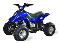 Детский бензиновый квадроцикл OPTIFIT Virtue 50