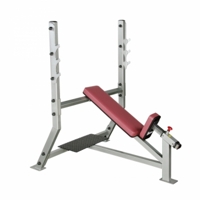 Скамья наклонного жима Body Solid ProClub SIB359G